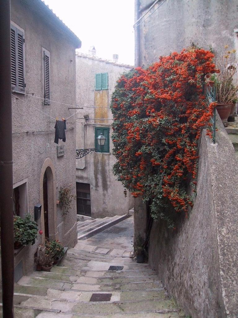 Hotel Locanda La Pieve Semproniano Esterno foto